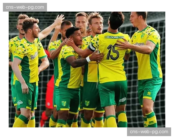 深度专访：诺维奇队草根球迷代表谈科技观赛——距离更近，但呐喊声更远